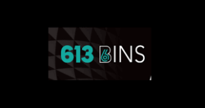 613 Bins